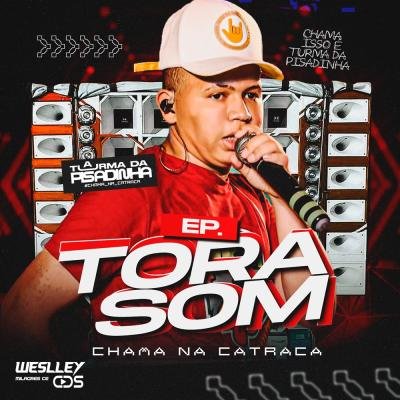 A TURMA DA PISADINHA TORA SOM 5 MUSGA NOVA