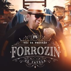 FORROZIN DE FAVELA - VEI DA PRESSAO