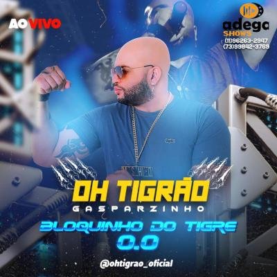 OH TIGRAO 2024 - BLOQUINHO DO TIGRE 0.0 (CD NOVO)