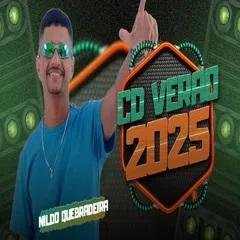 NILDO QUEBRADEIRA - VERAO PRA PAREDAO 2025 (MUSICAS NOVAS)