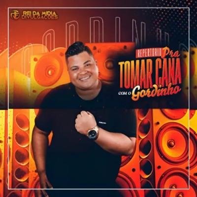 GORDINHO SAFADO - Repertório pra tomar uma com o gordinho