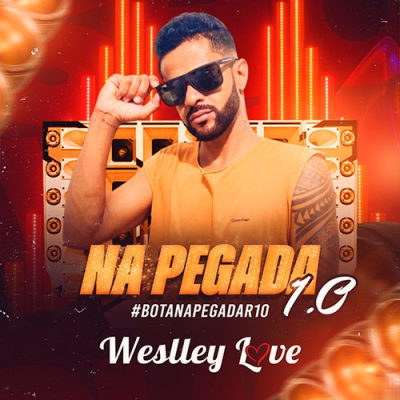 WESLLEY LOVE - REPERTORIO NOVO 2025 CD VERAO ATUALIZADO (MUSICAS NOVAS)