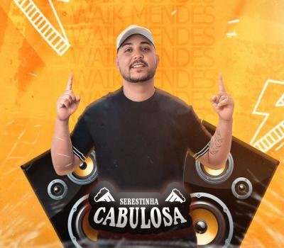 WAIK MENDES - CD NOVO 2026 PRA PAREDAO SERESTINHA CABULOSA